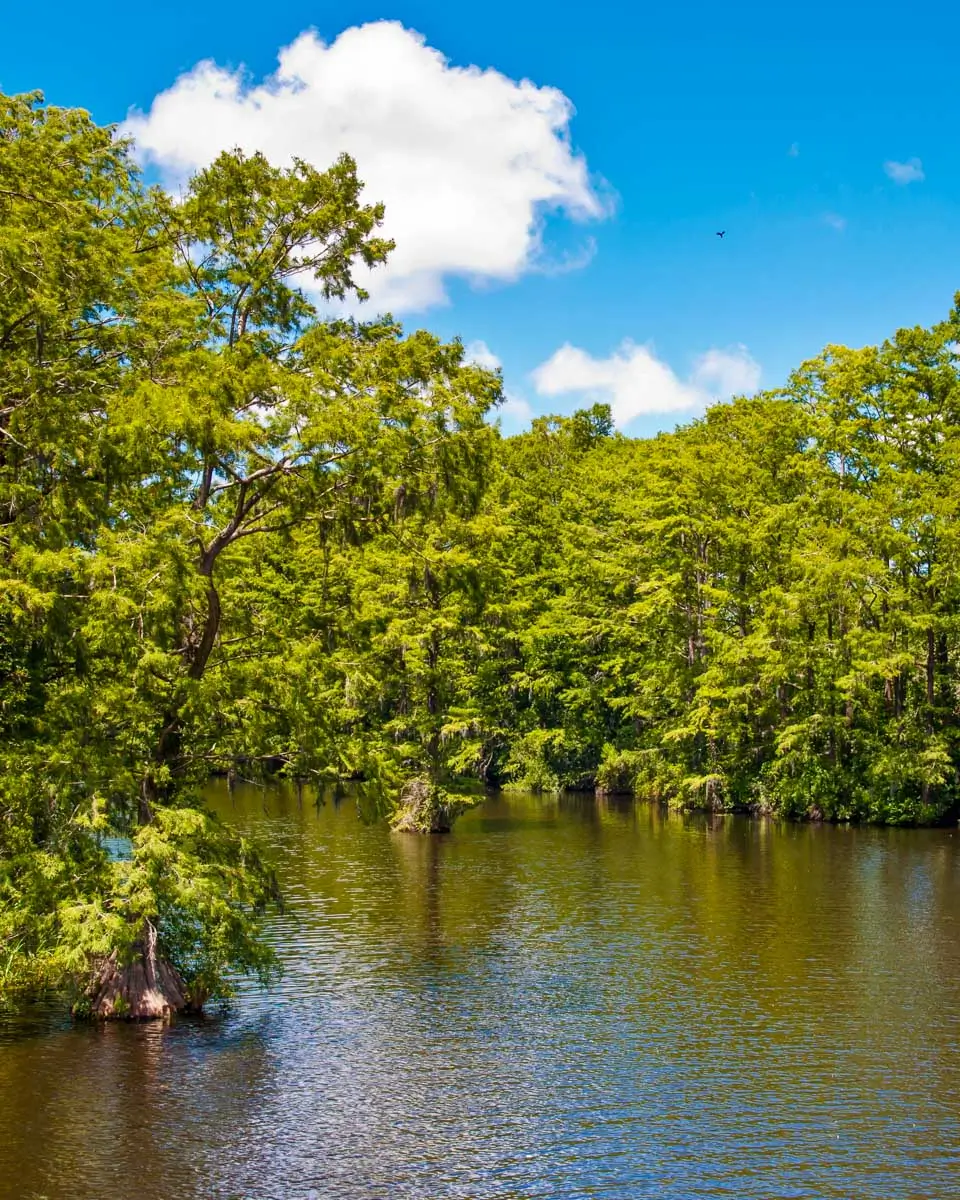 Greenfield Lake in Wilmington, North Carolina
