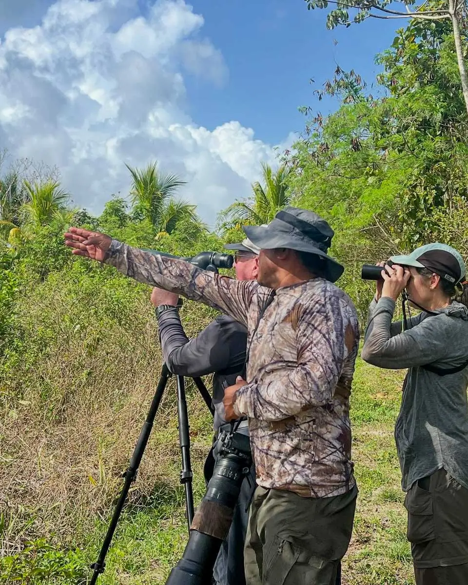 Guide with visitors on a birdwatching tour in Costa Maya