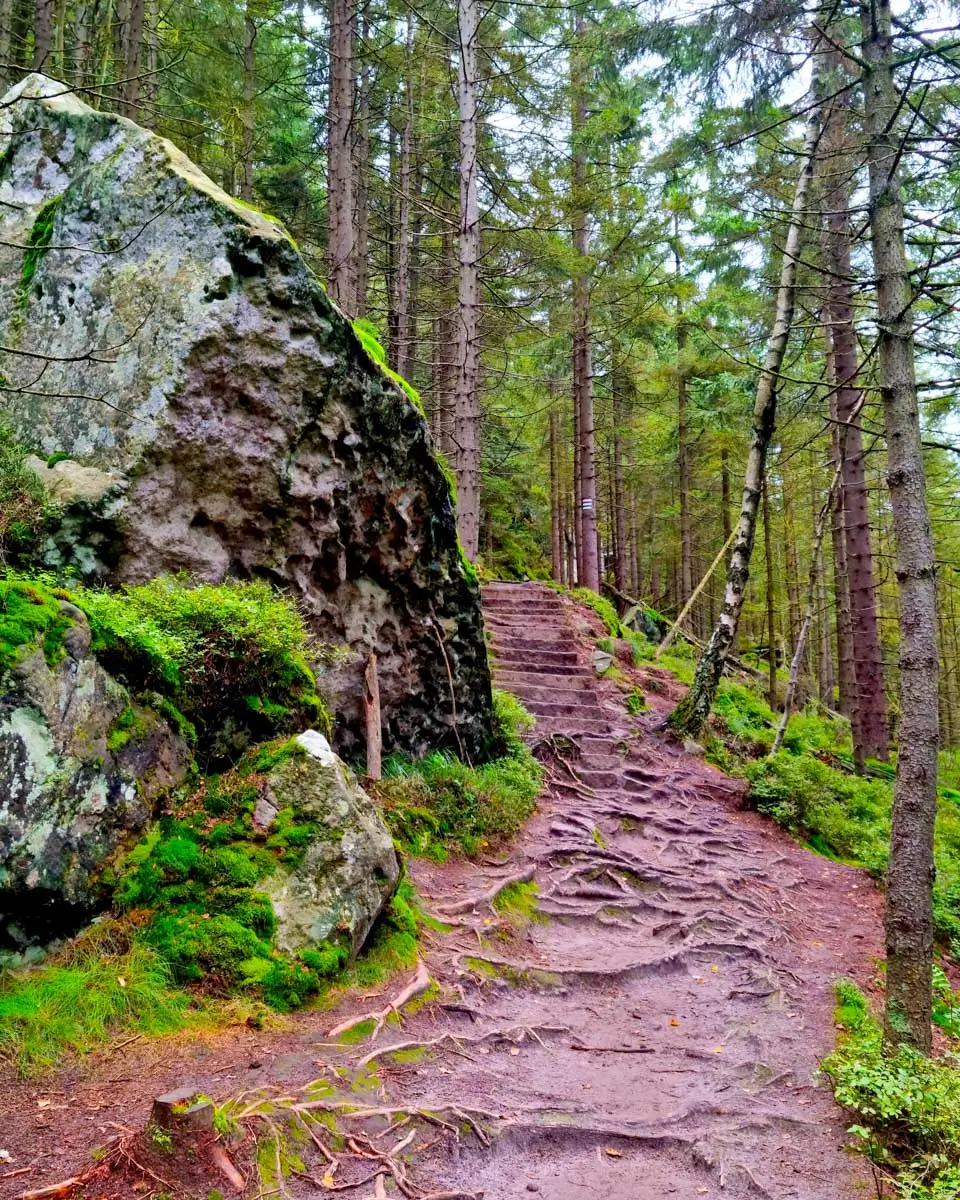 Hiking trail near Salem Massachusetts