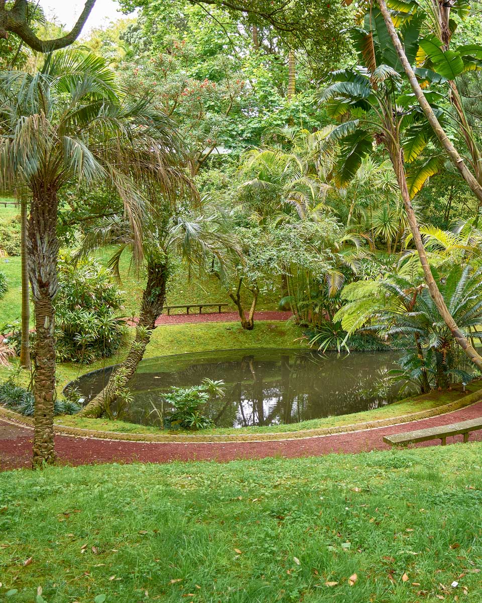 Jardim-Botanico-Antonio-Borges-in-Sao-Miguel-Portugal