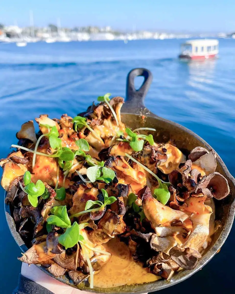 Maitake Mushroom eaten at Malibu Farm Lido in Newport Beach
