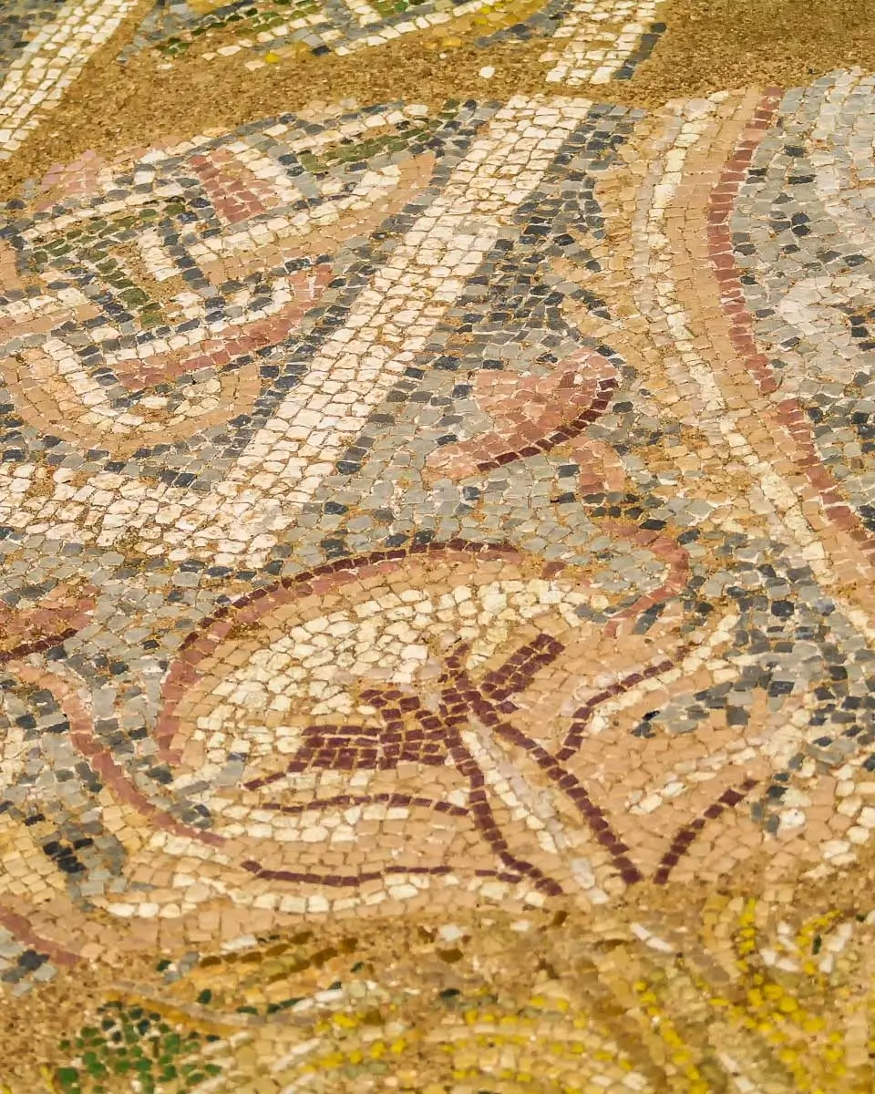 Mosaic-fragment-at-Dion-Archaeological-Park-in-Greece-seen-on-a-tour-from-Thessaloniki-1-2026-08-07