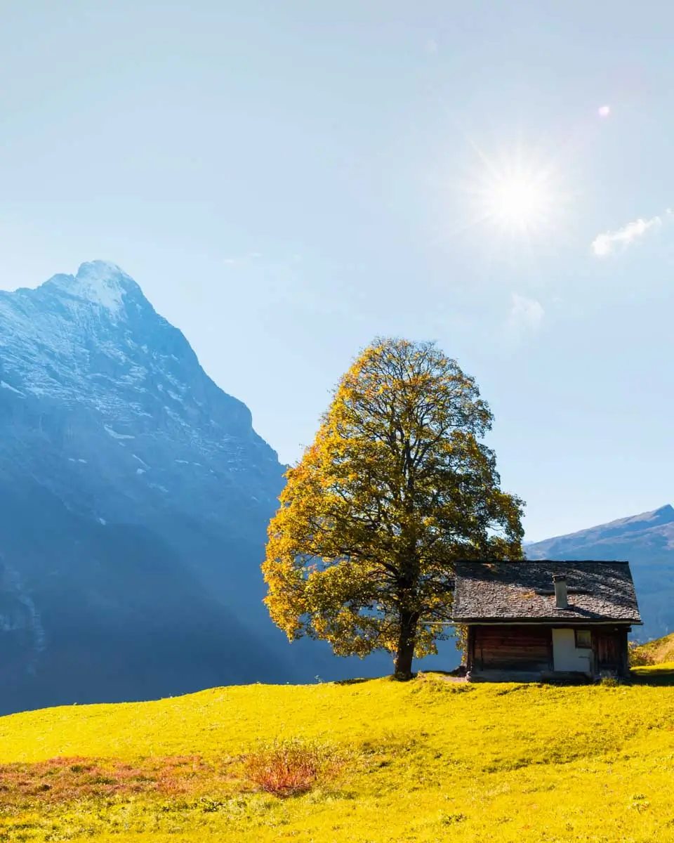 Nature outside of Grindelwald Switzerland