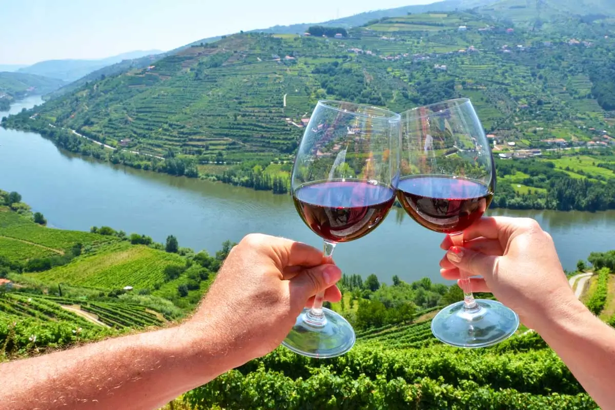 People drink wine at a vineyard in Douro Valley on a tour from Porto Portugal