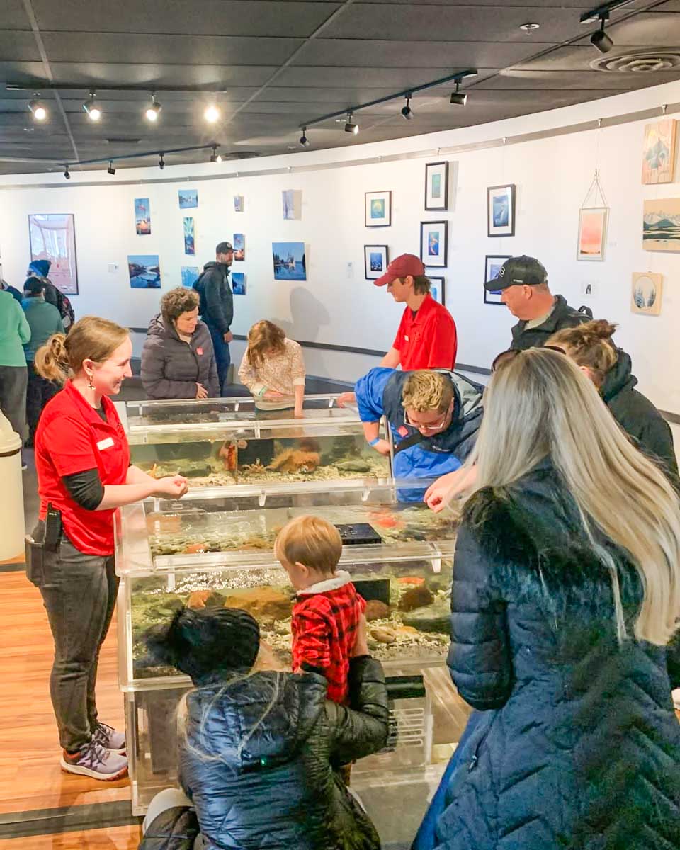 People examine marine life at the DIPAC Macaulay Salmon Hatchery in Juneau