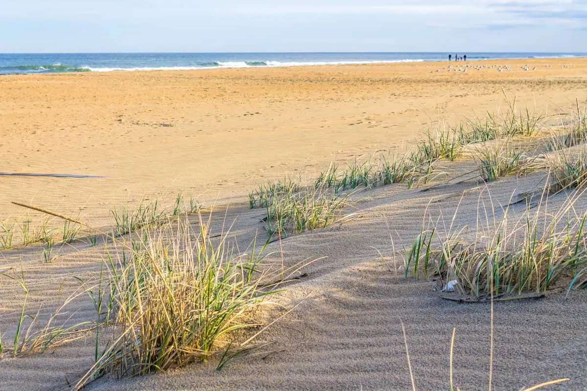 Sandbridge Beach in Virginia Beach, Virginia