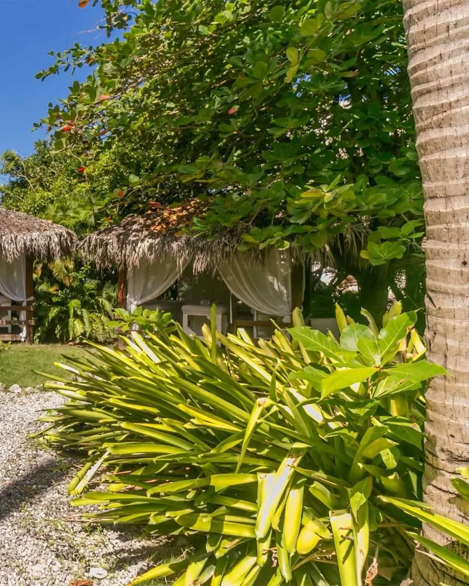 Spa Natural Center in Punta Cana, Dominican Republic (2)