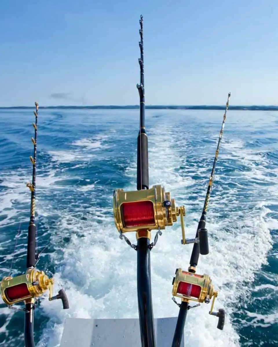 Sport fishing in Costa Maya