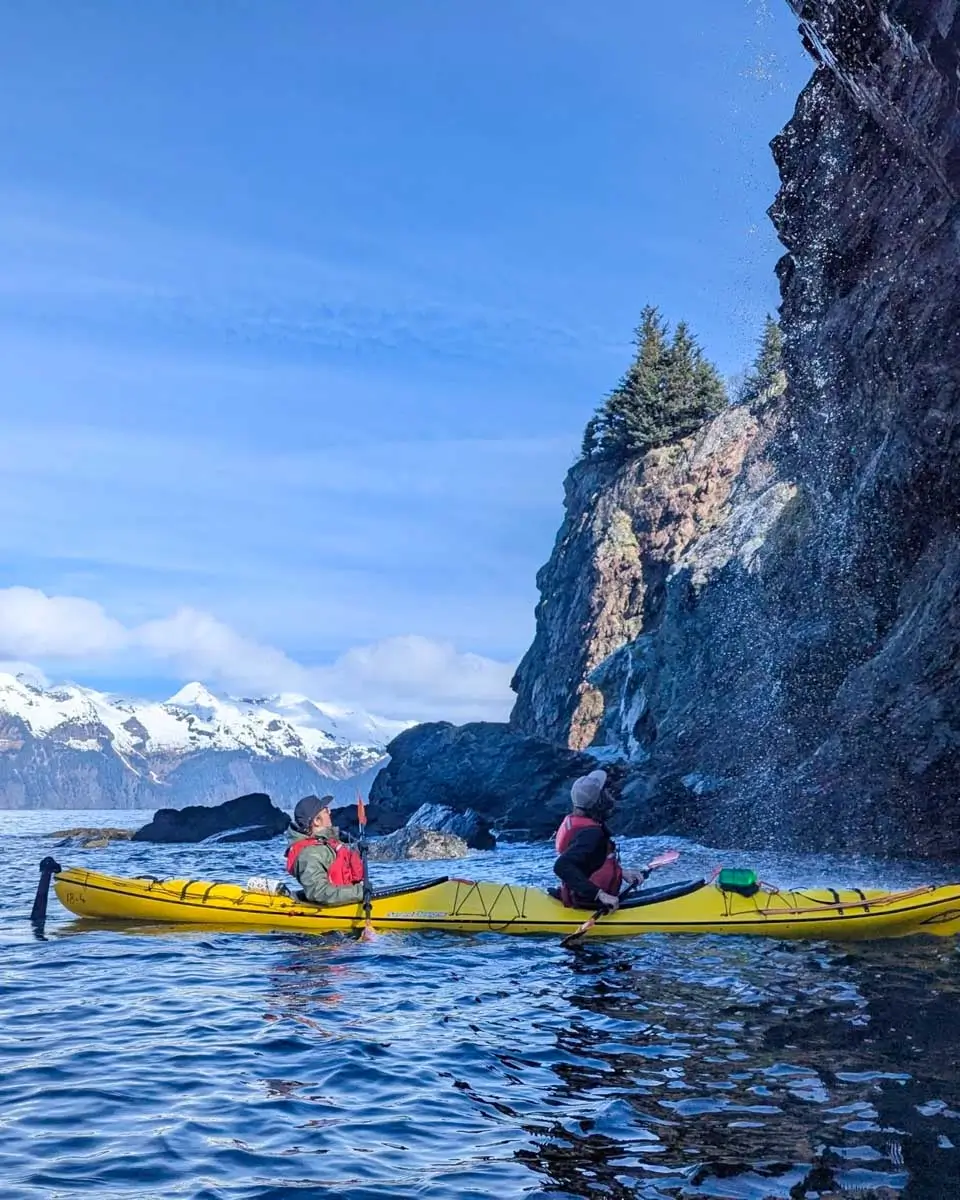 Sunny Cove Tours in Seward Alaska (1)