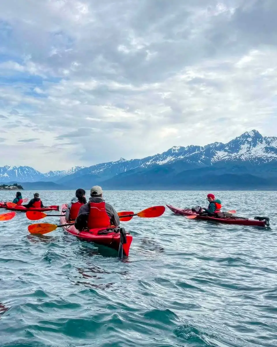 Sunny Cove Tours in Seward Alaska (2)