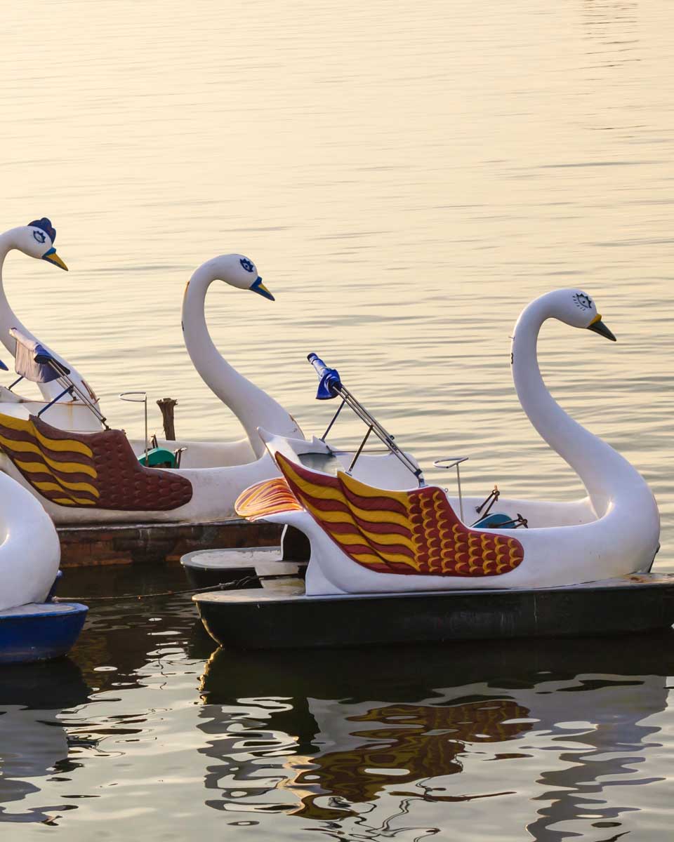 Swan boats on west lake hanoi