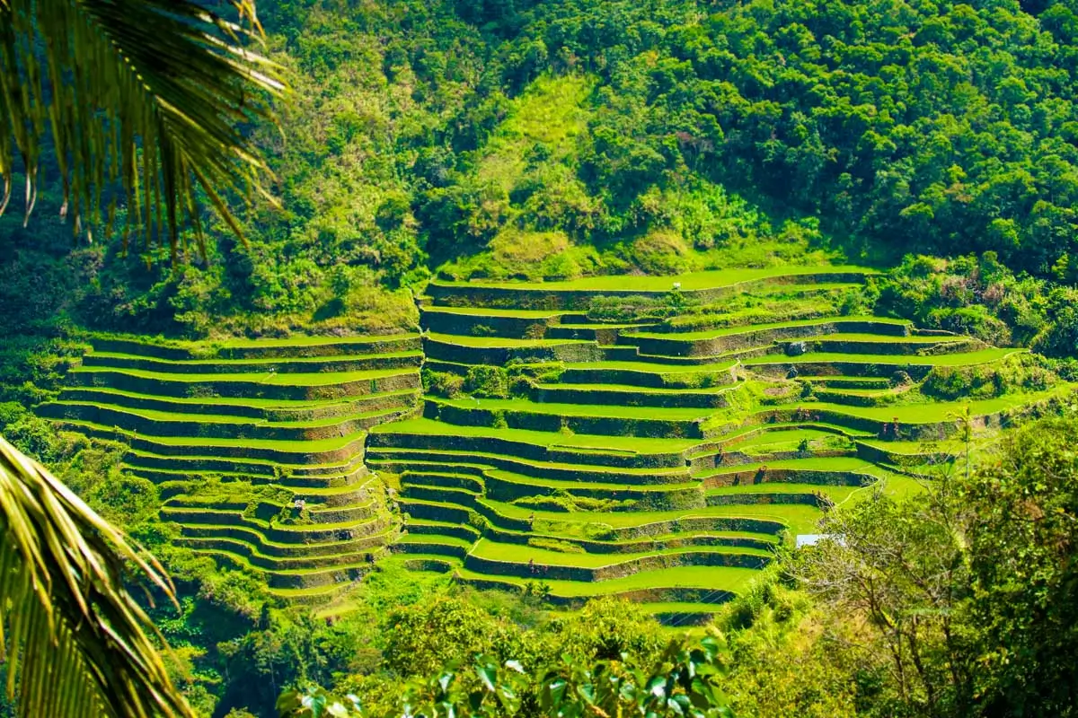 The Batad Rice Terraces in the Philippines