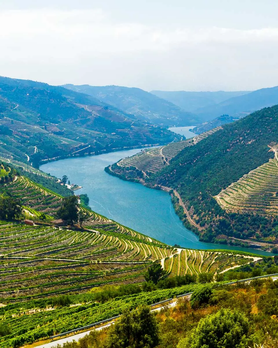 The Douro River in Douro Valley on a tour from Porto Portugal