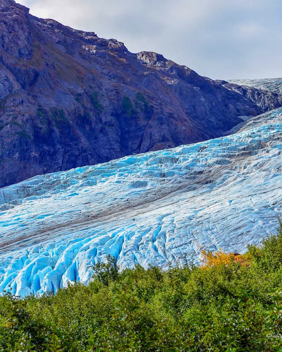 The view of Exit Glacier in summer near Seward Alaska