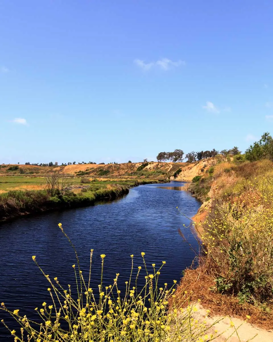 Upper Newport Bay area