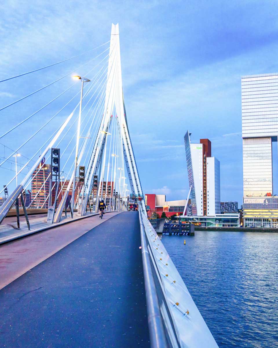 View of the Erasmus Bridge over the Maas River in Rotterdam