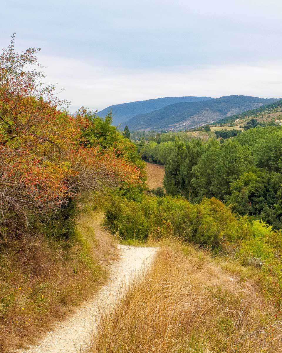 Walking-part-of-the-Camino-de-Santiago-in-Spain