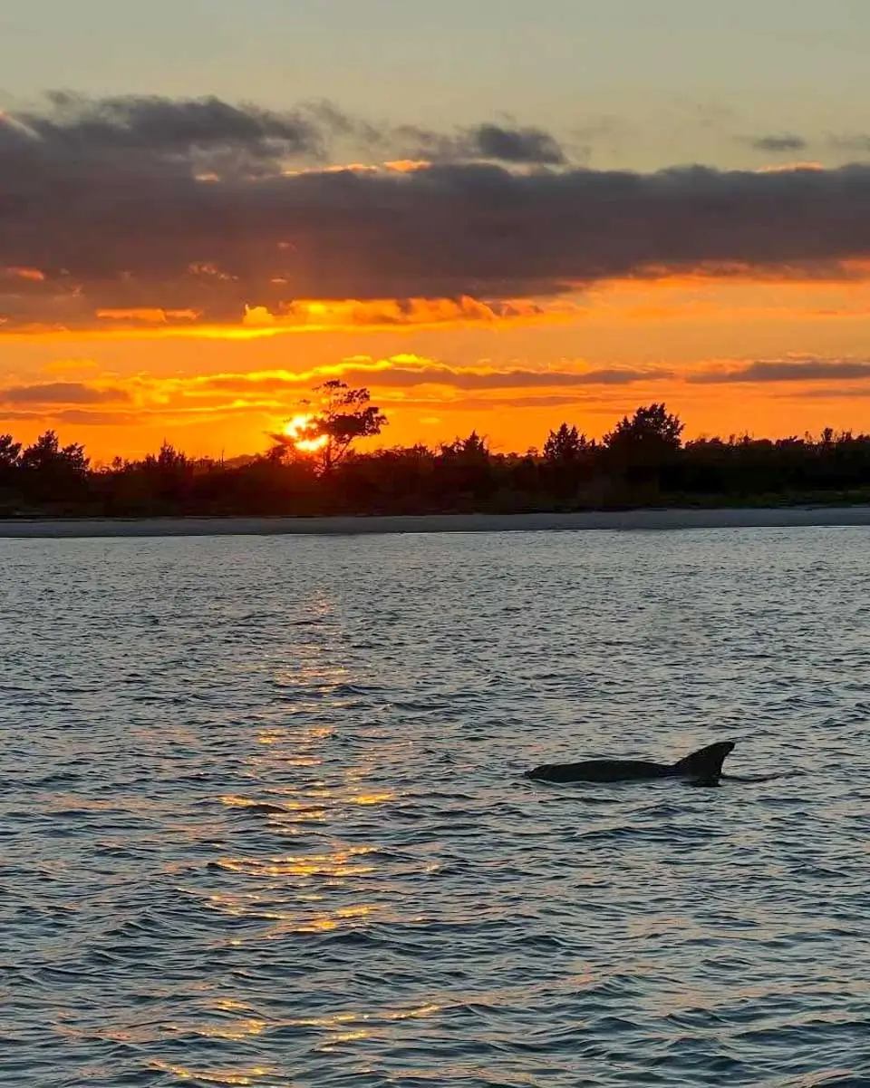 Wrightsville Beach Scenic Tours in Wilmington, North Carolina (1)