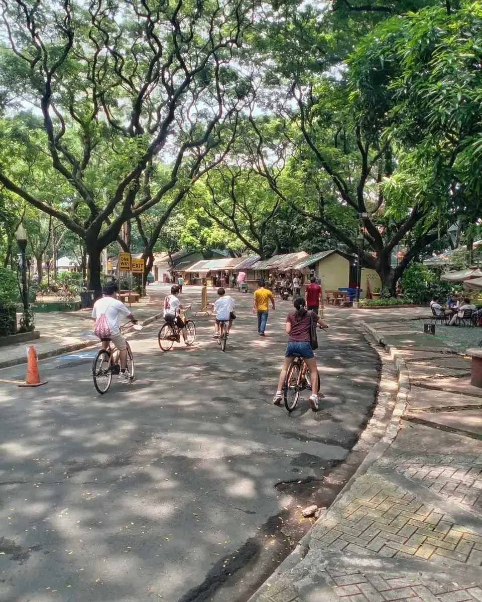 bambikeecotours in Manila Philippines (1)