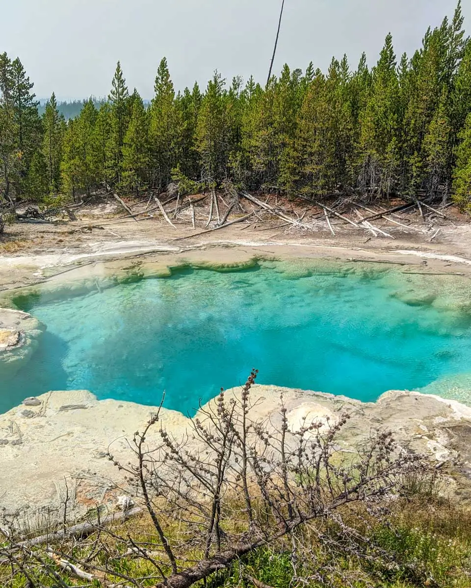 A colorful natural spring seen on a tour to Yellowstone National Park from Jackson Hole Wyoming 1