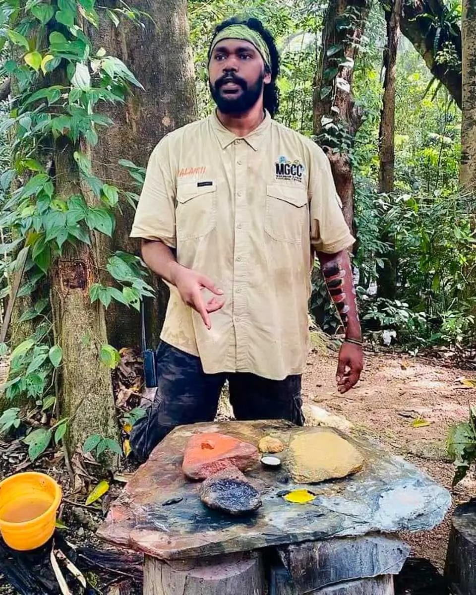 A man from Kuku Yalanji tribe showing traditional smorking ceremony, Cairn, Australia