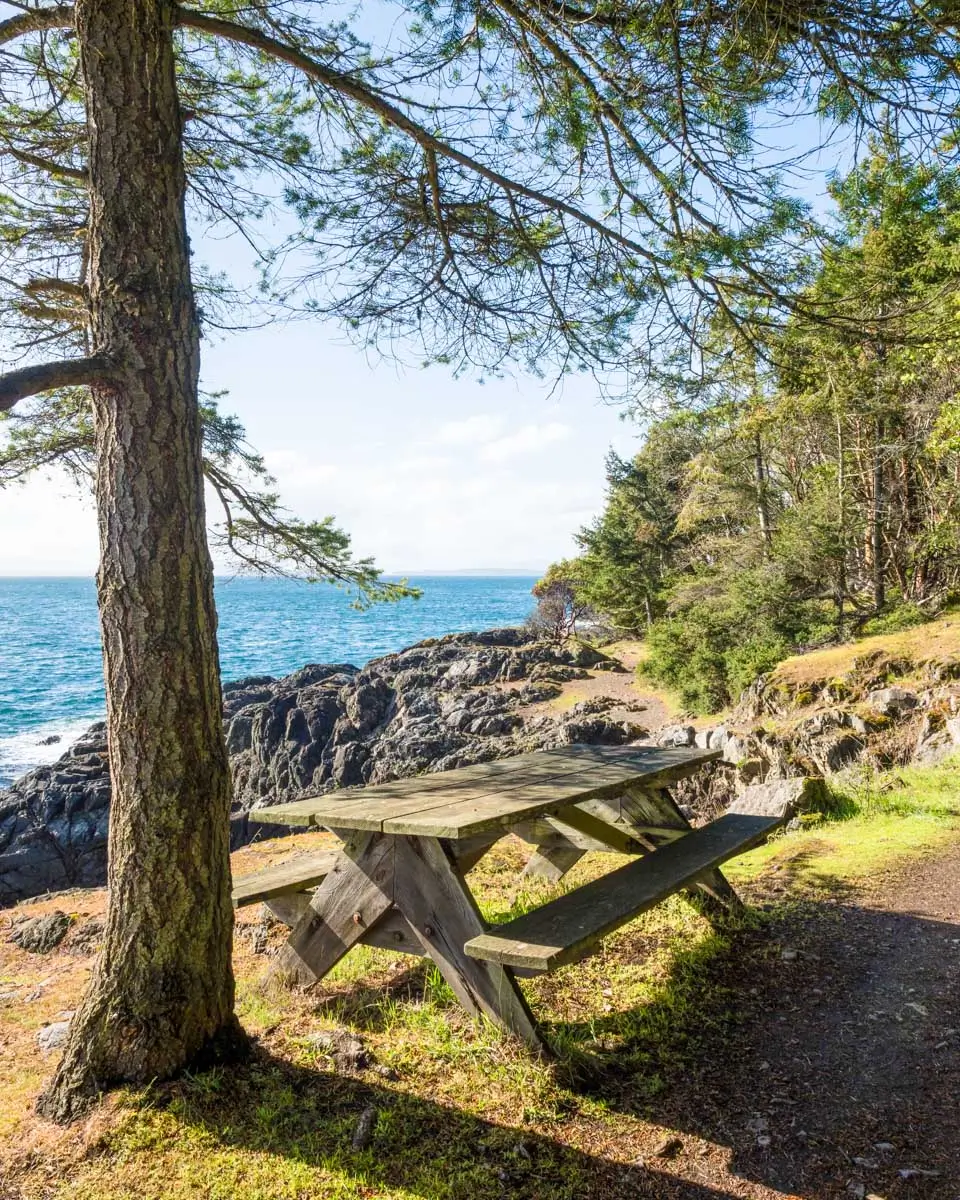 A picnic table at Lime Kiln Point State Park, San Juan Islands