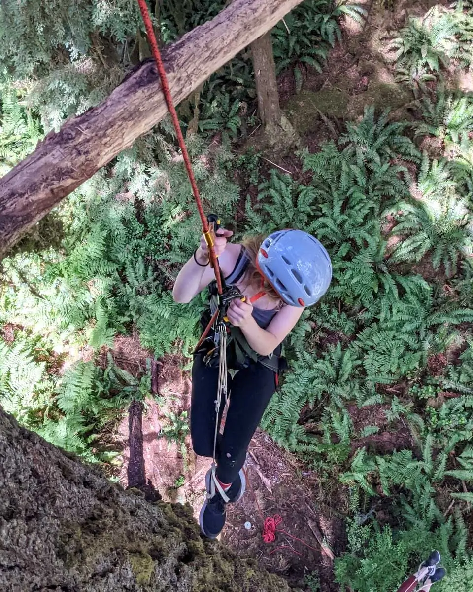A woman climbing tree in San Juan Islands, Washington