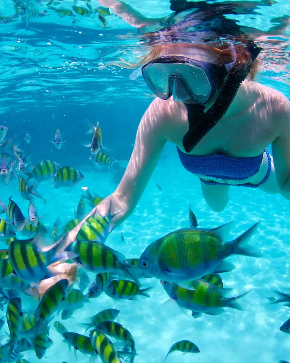 A woman seeing colorful fish in French Cay Harbor, Honduras