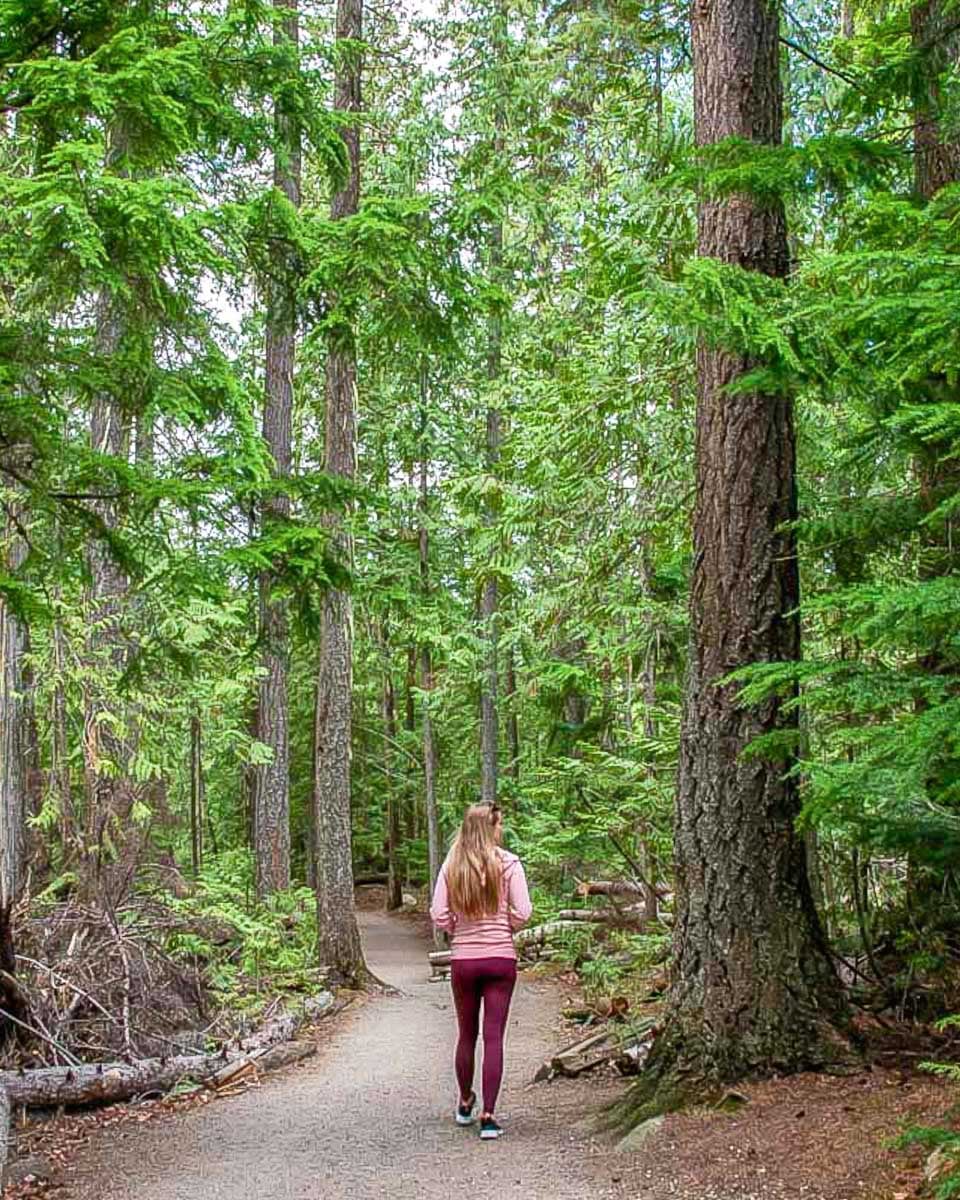 Bailey-hikes-Mount-Constitution-in-the-San-Juan-Islands