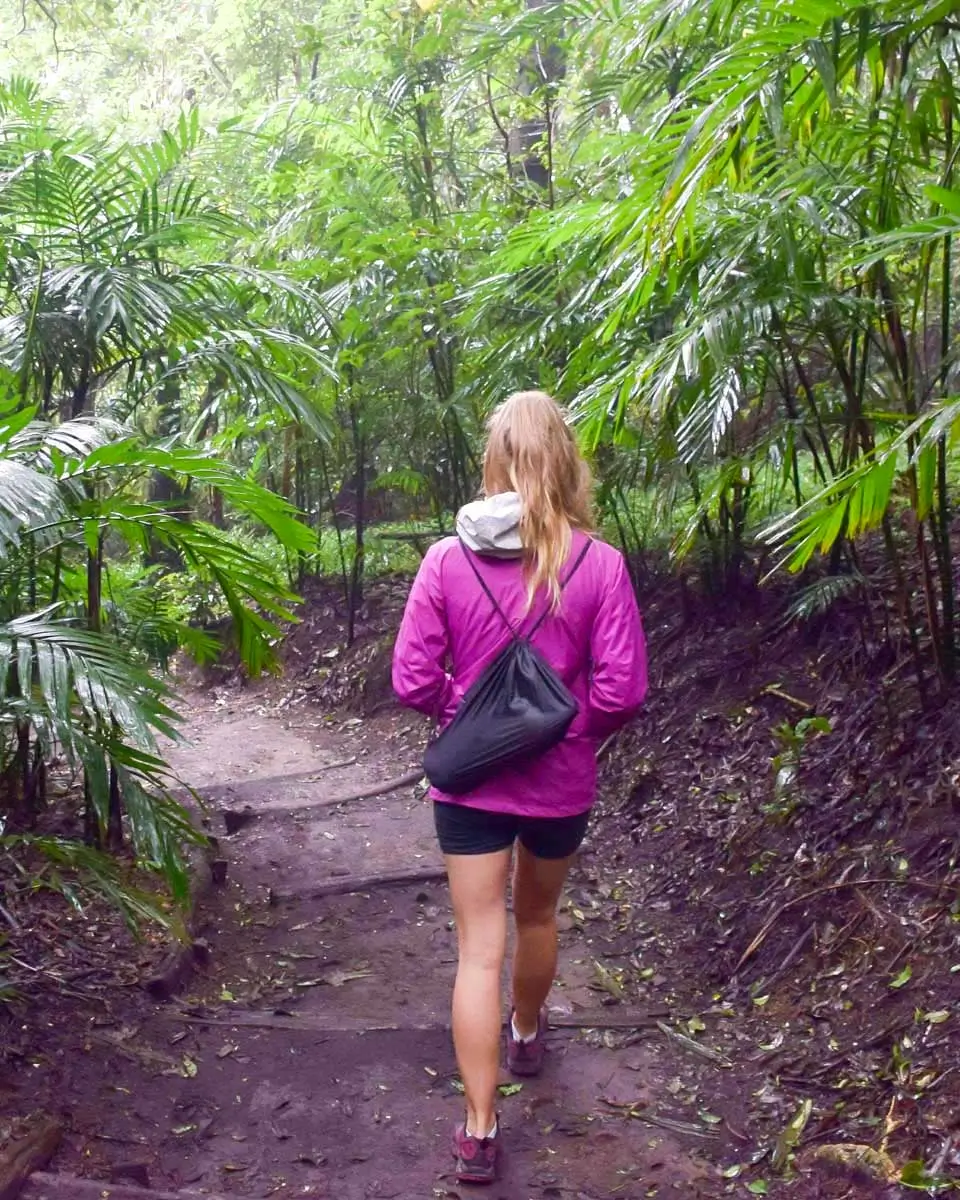 Bailey hiking through a forest in Moorea, French Polynesia