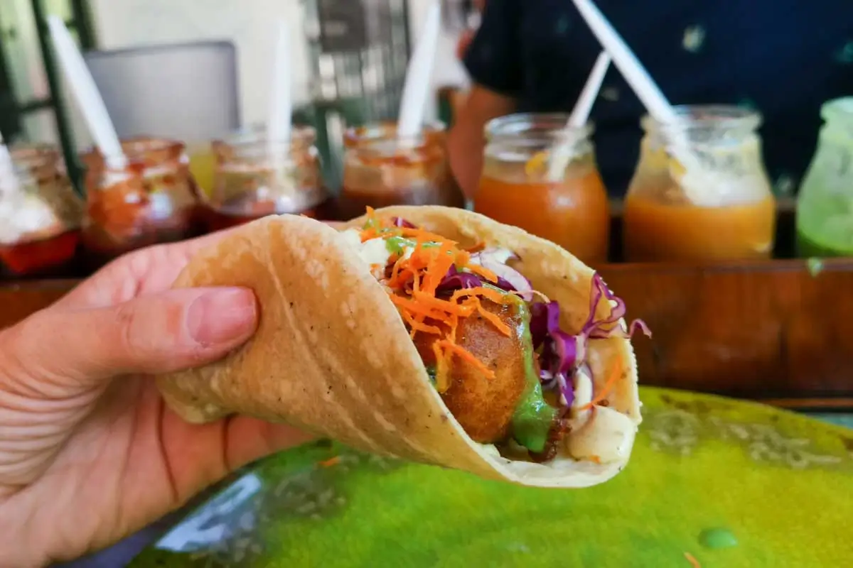 Bailey-holds-a-taco-in Hilton Head, South Carolina