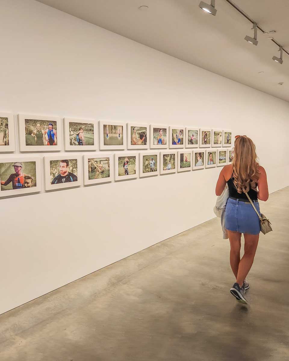 Bailey-walks-through an art gallery in Portland Maine