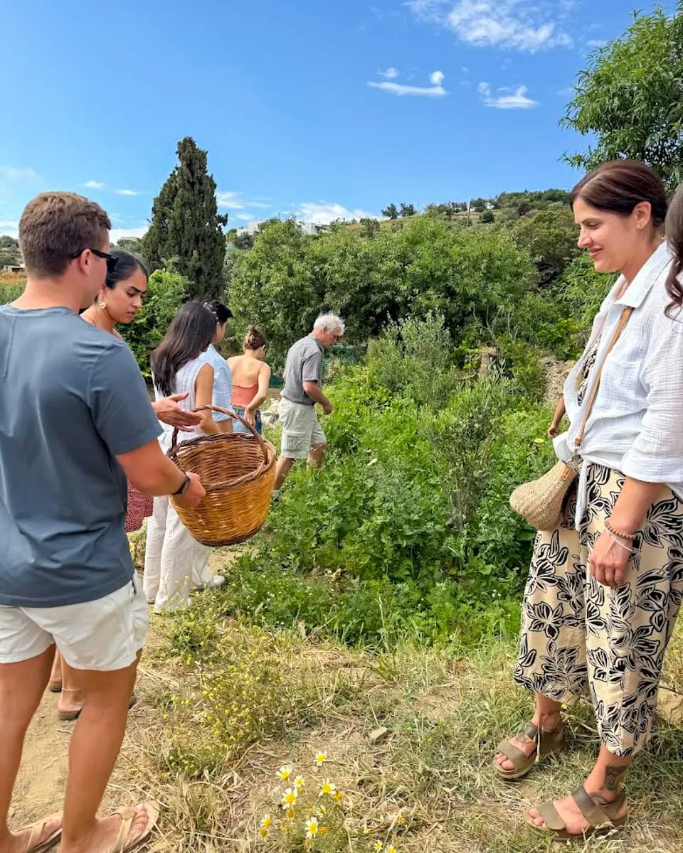 Collecting ingredients during the cooking class in Naxos, Greece