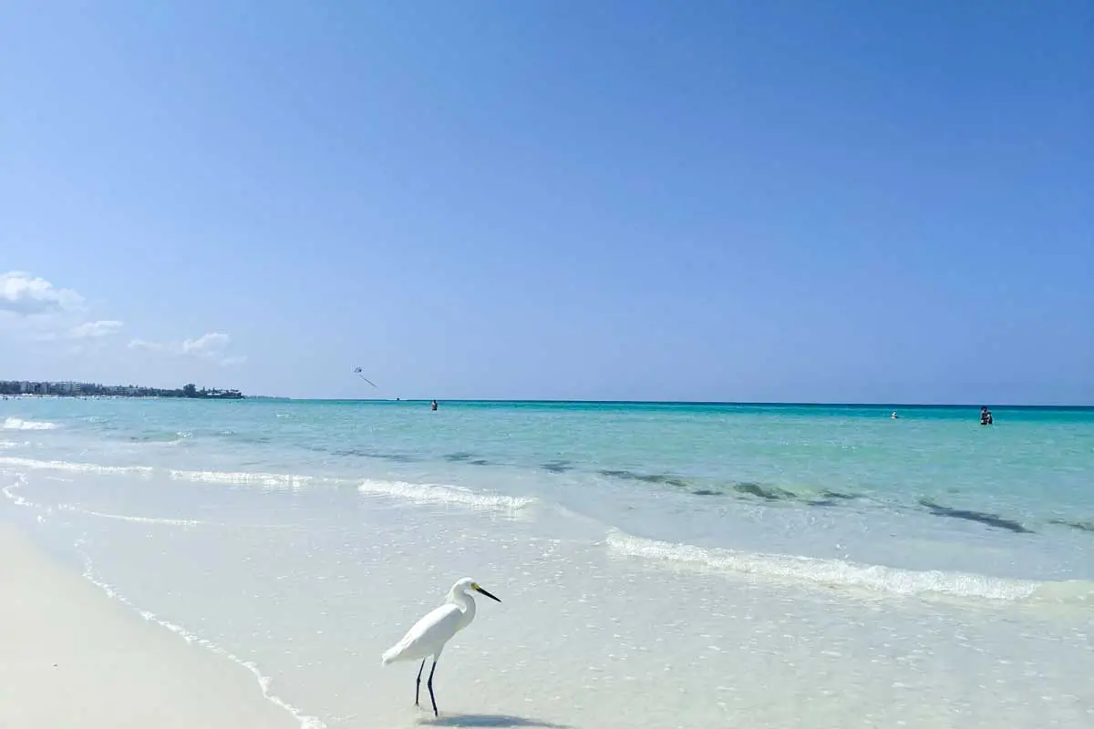 Cresent Beach in Siesta Key, Florida