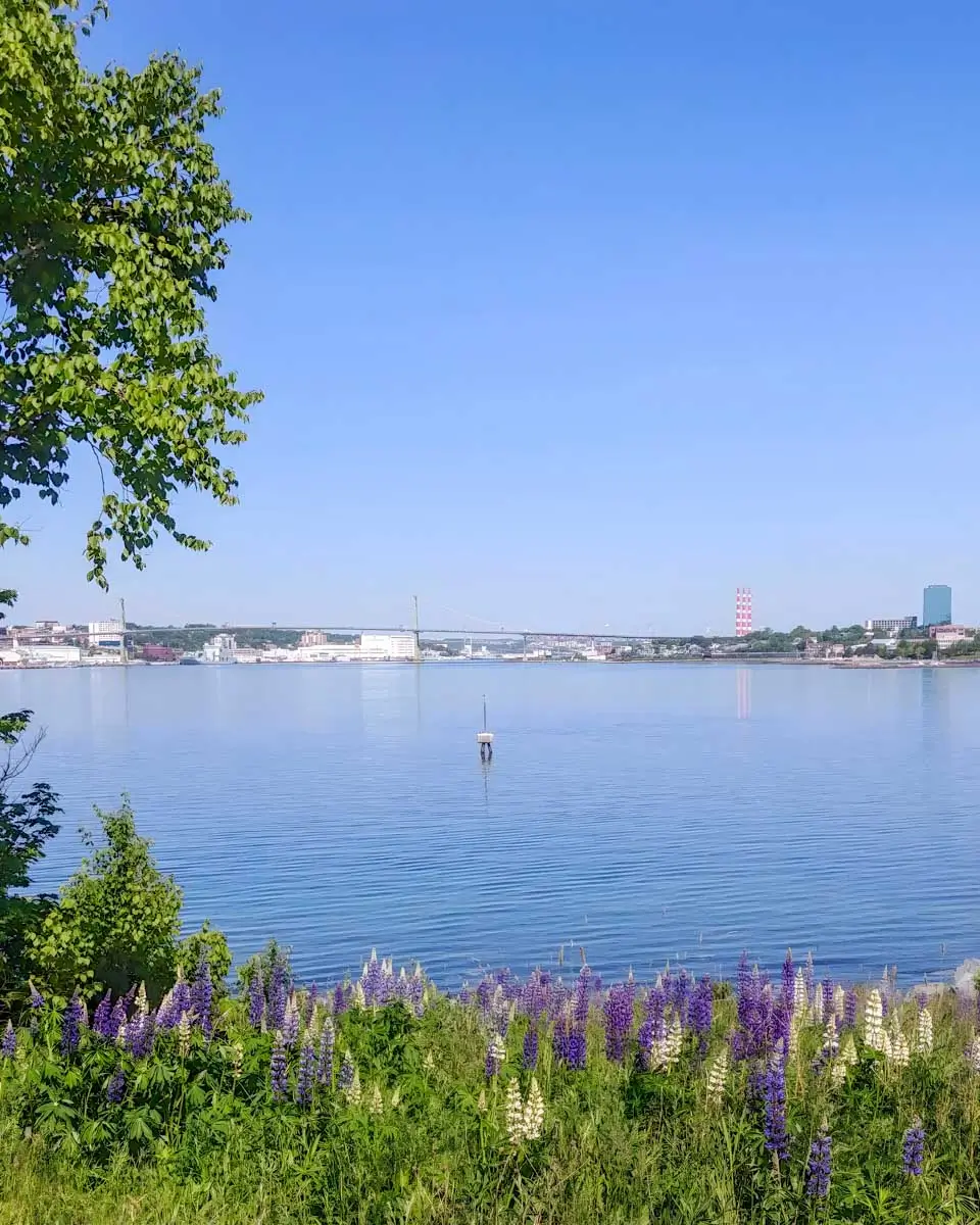 Dartmouth Harbourfront Trail in Dartmouth near Halifax, Nova Scotia (2)