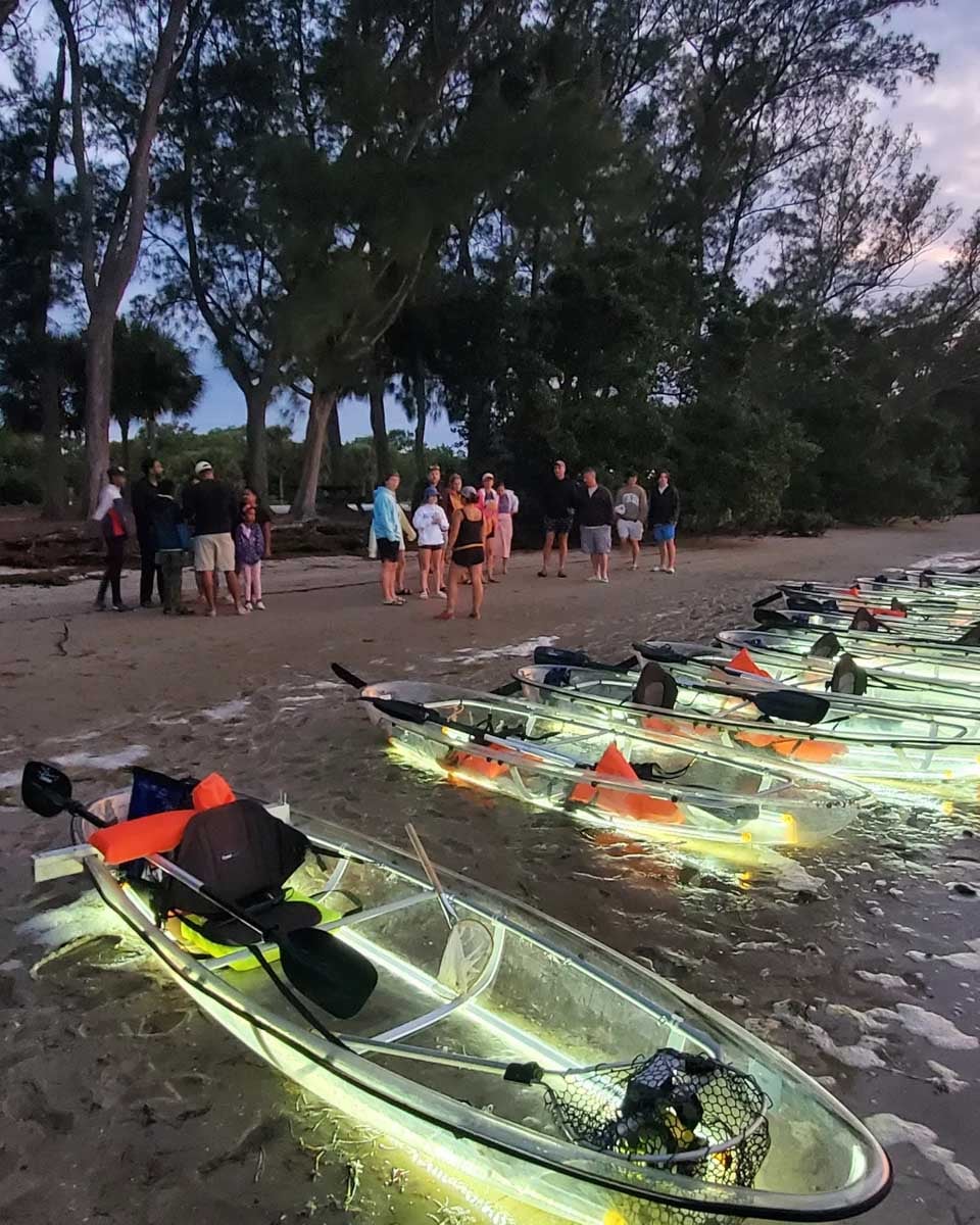 Fun Florida Tours in Siesta Key, Florida (2)