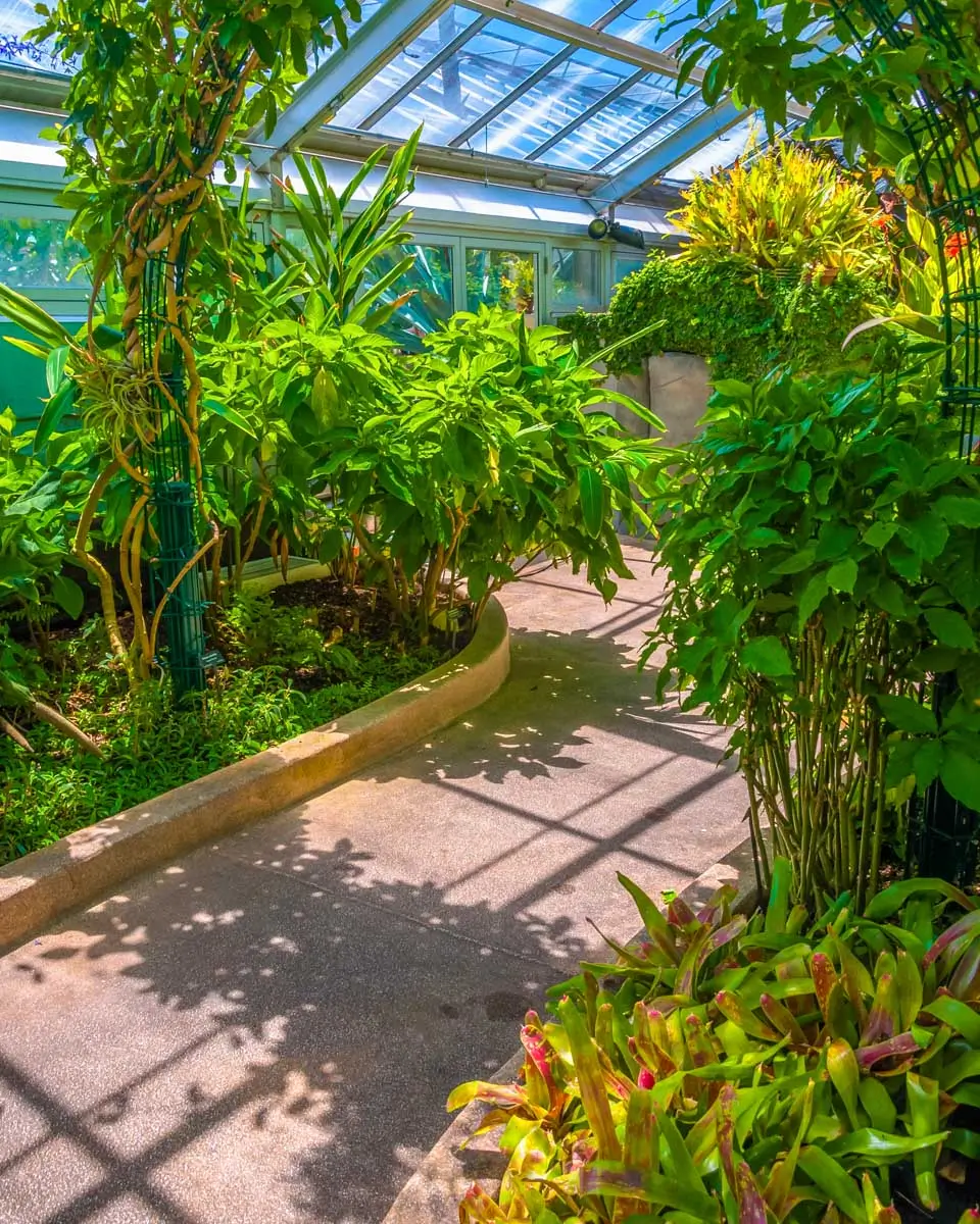 H.P. Rawlings Conservatory and Botanic Gardens in Druid Hill Park in Baltimore, Maryland (2)