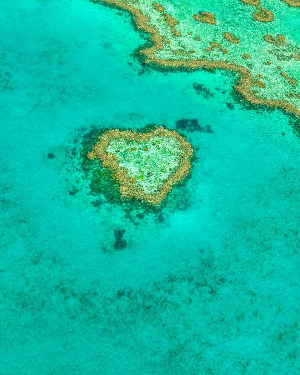 Heart coral reef in Whitsunday Islands near Airlie Australia