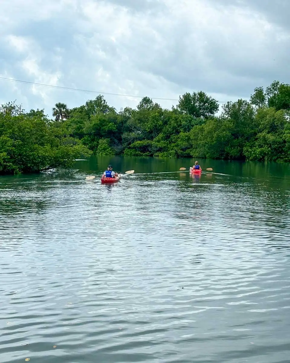Kayaking in Blind Pass Lagoon in Turtle Beach Park - Siesta Key, Florida (1)