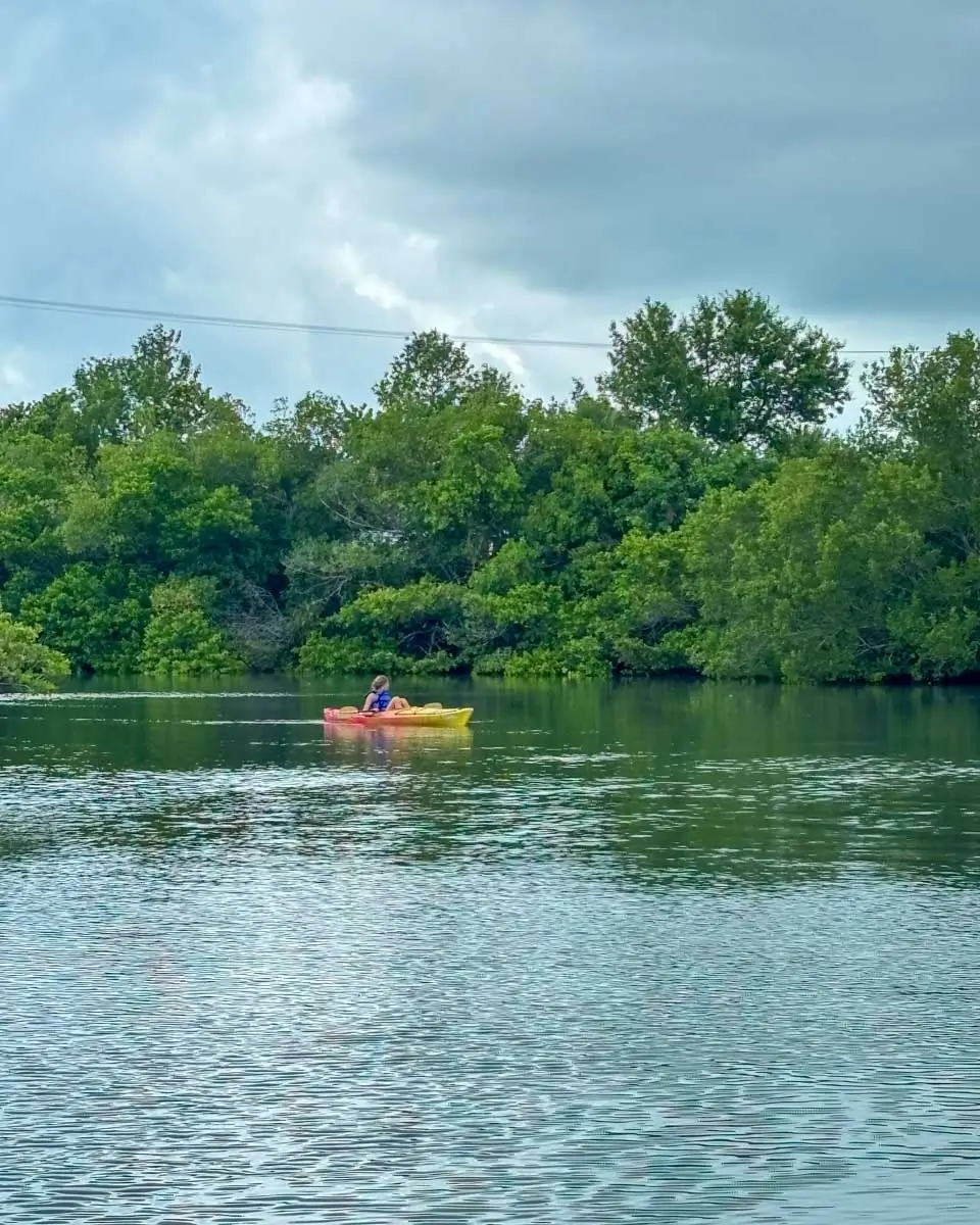 Kayaking in Blind Pass Lagoon in Turtle Beach Park - Siesta Key, Florida 2