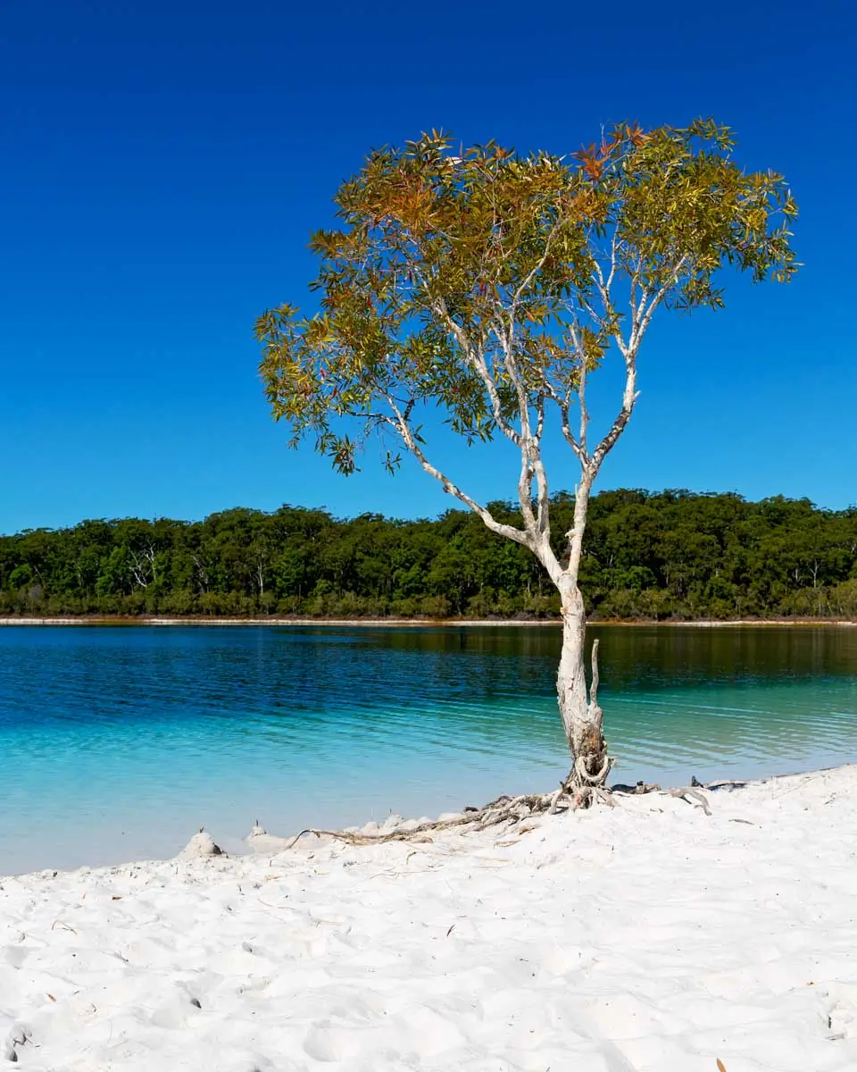 Lake Mackenzie in Fraser Island, Australia