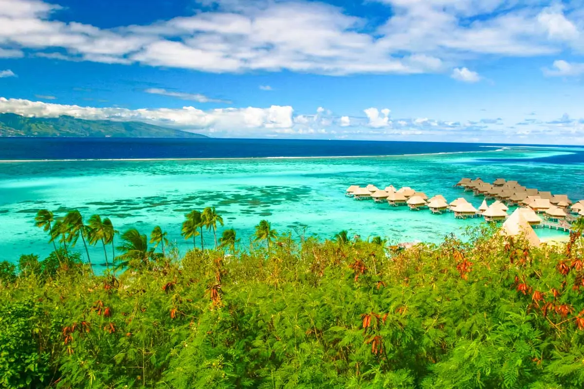 Landscape and water of Moorea, French Polynesia