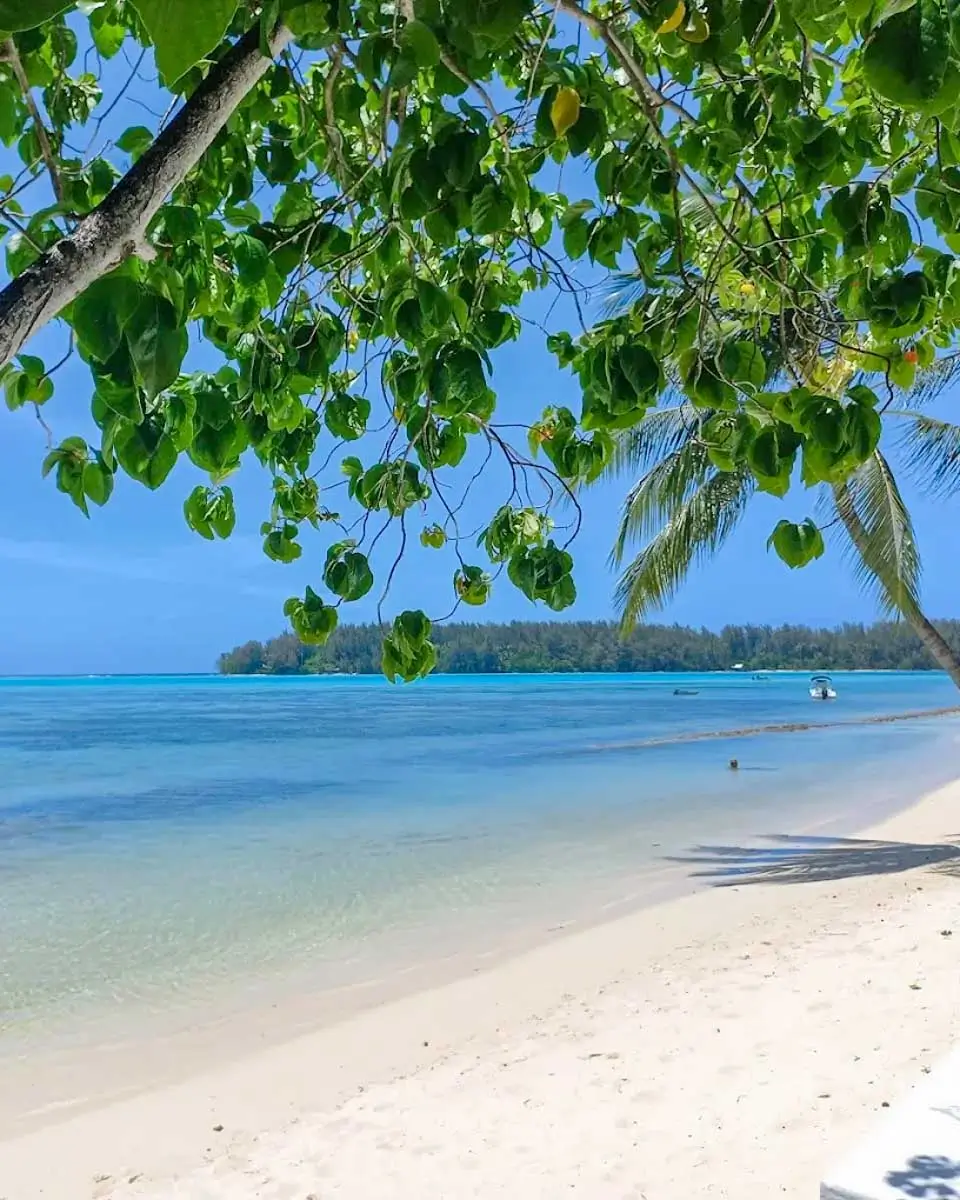 Moorea Island Beach Hotel in Moorea, French Polynesia (2)