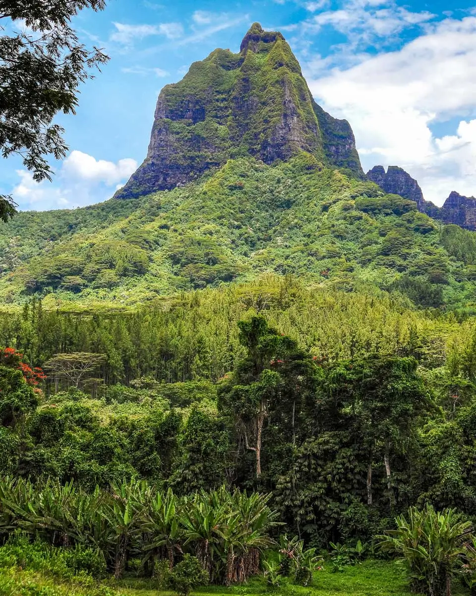 Mountain seen while hiking to Three Coconuts Pass Moorea, French Polynesia