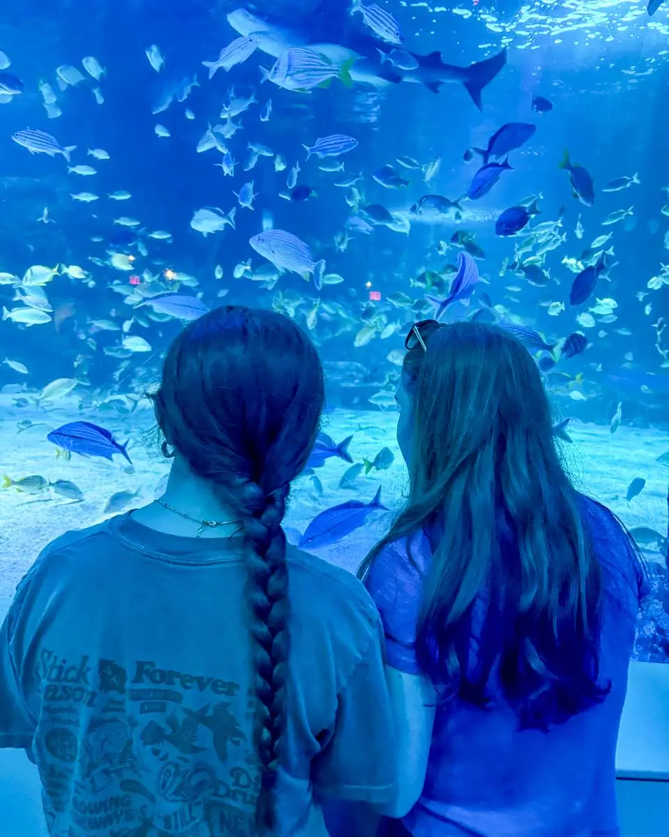 Newport Aquarium near Cincinnati, Ohio