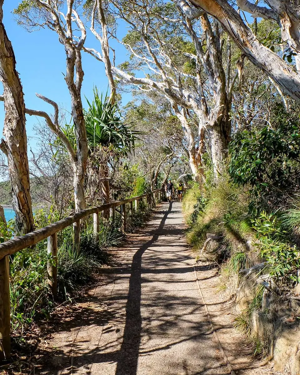 Noosa National Park Coastal Walk Australia