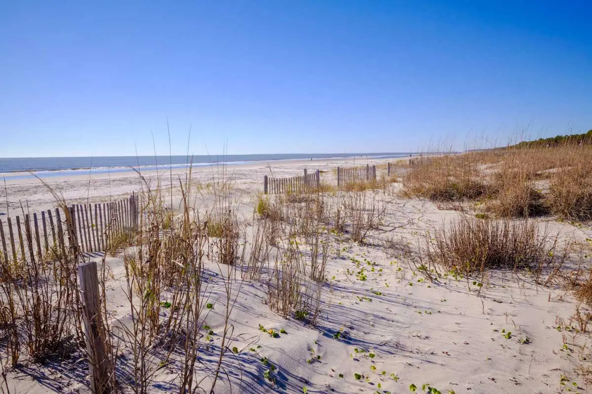 Palmetto Dunes  beach in Hilton Head, South Carolina  beach in Hilton Head, South Carolina
