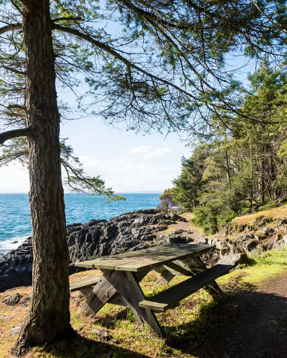 Picnic table along the hiking trail in Lime Kiln Point State Park on San Juan Islands, Washington