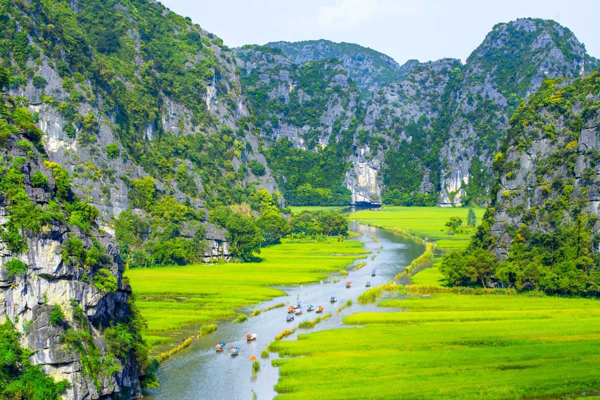Rice fields and limestone cliffs in Tam Coc, Ninh Binh, Vietnam