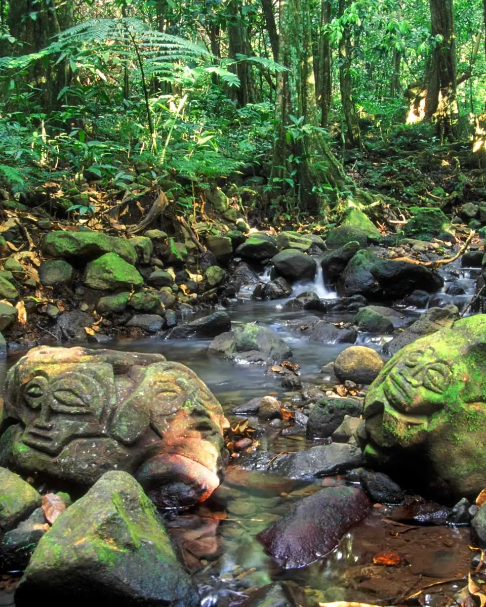 Rock carvings in the Opunohu Valley in Moorea, French Polynesia